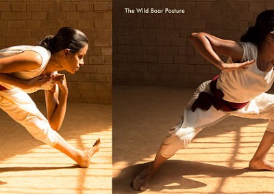 kalaripayattu martial arts